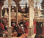 CARPACCIO, Vittore Disputation of St Stephen  fgh oil painting on canvas